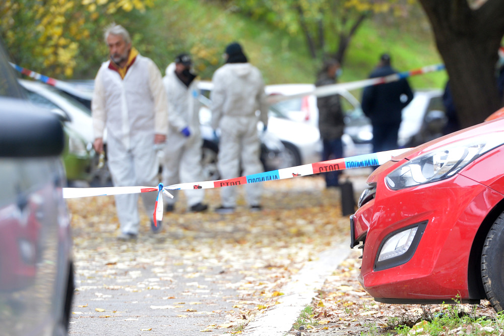 Meštani zatekli jeziv prizor - delove ljudskih kostiju na zgarištu