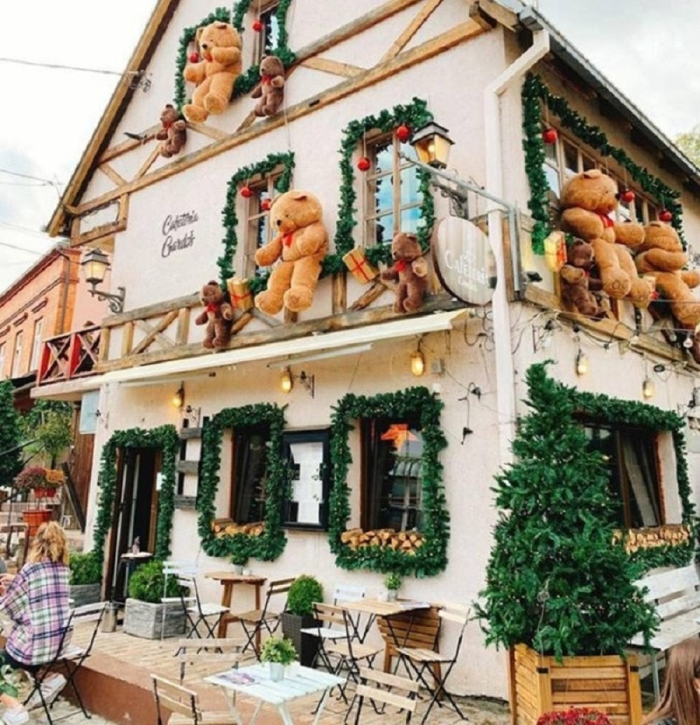 Evo gde su nestali medvedići sa Gardoša