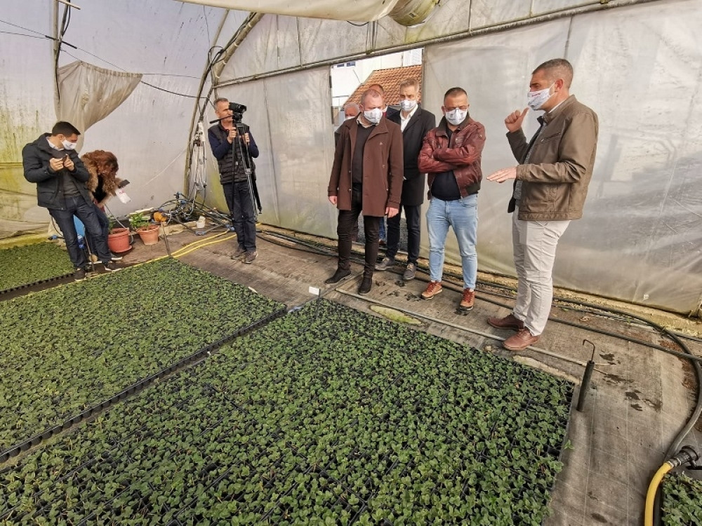 Nedimović posetio konačno zadovoljne malinare i najavio velike podsticajne mere (FOTO)