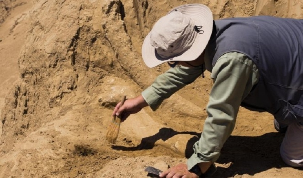 ŠOK OTKRIĆE U EGIPTU! Arheolozi su otvorili KOVČEG u kojem se nalazila MUMIJA, a onda su PRONAŠLI OVO