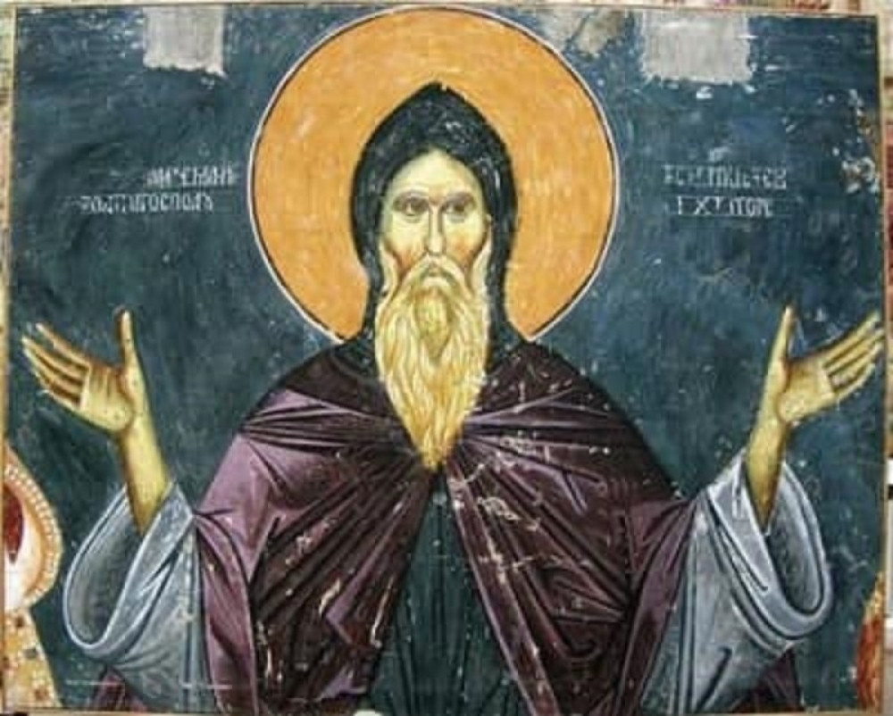 "Srbi nemaju istoriju, nacija im je formirana u 19. veku, a Nemanjići su Iliri"