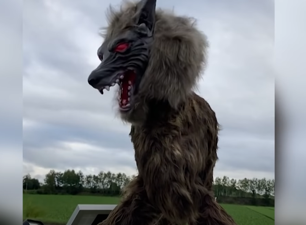 U Japanu su došli na veoma zanimljivu ideju kako da zaštite grad (VIDEO)