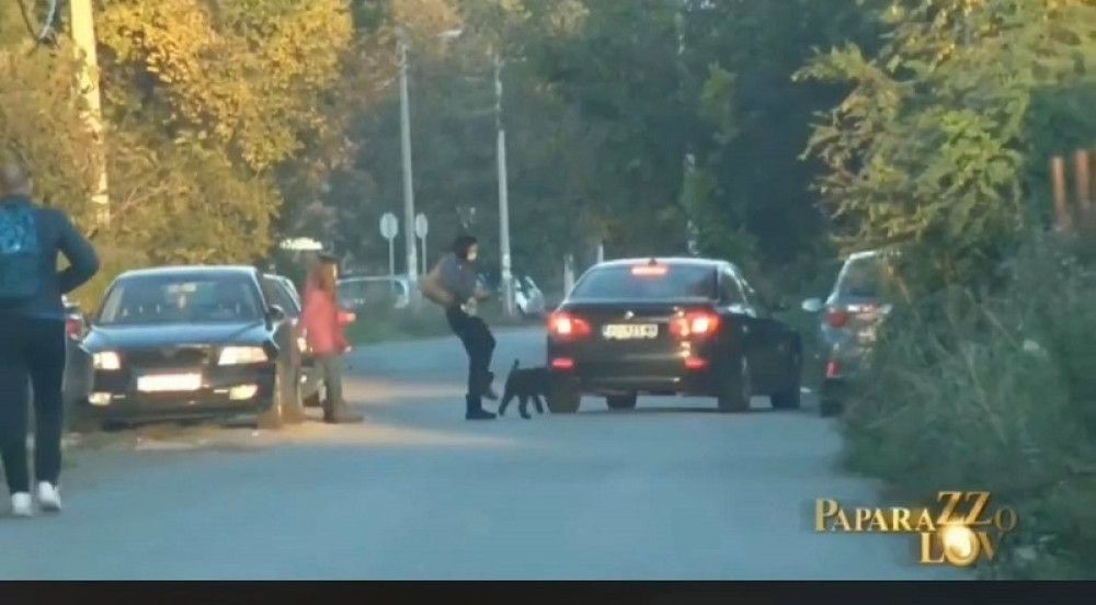 Popularna glumica šutnula svog psa, advokat za „Alo!“ otkriva: Slobodi preti dve godine zatvora!