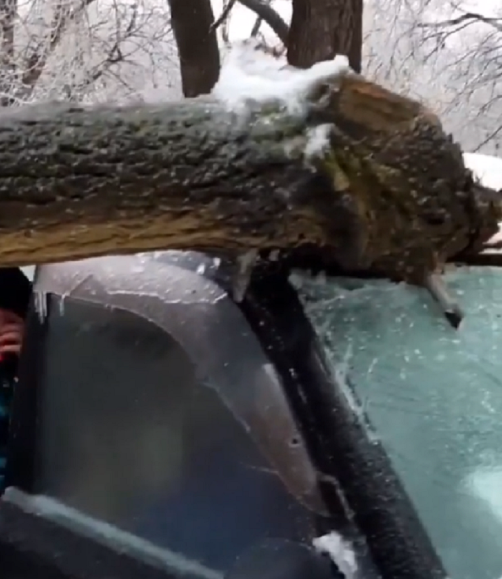 Ledena kiša izazvala haos u Vladivostoku i regionu - proglašeno vanredno stanje