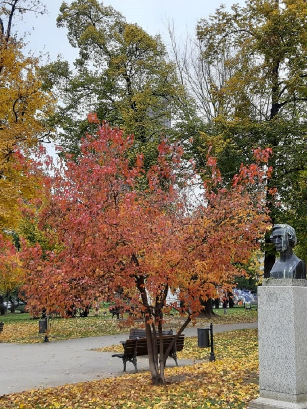 Spremite se sutra za najgori jesenji dan