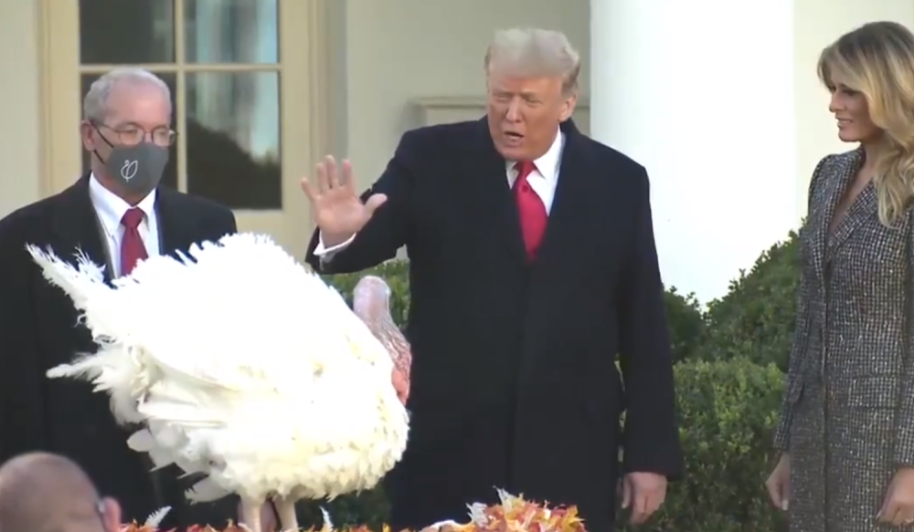 Tramp "pomilovao" ćurku po imenu Korn