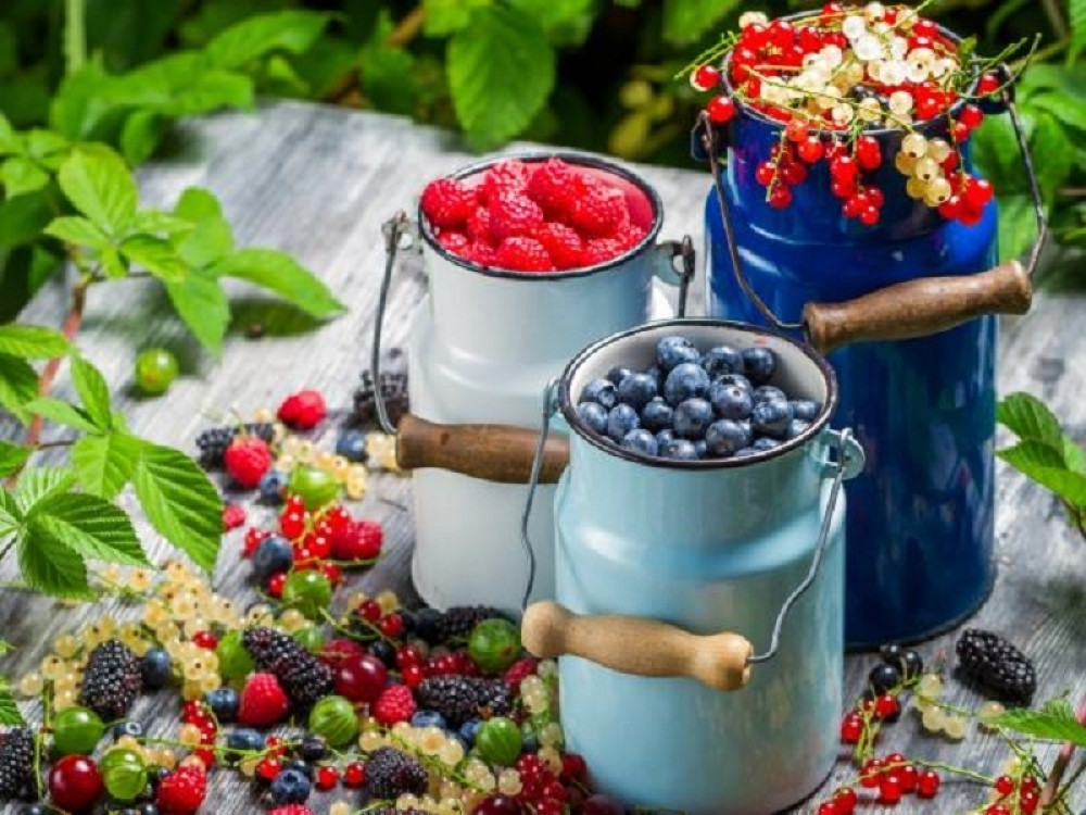 Najbolji eliksir za imunitet, od divljih jabuka i krušaka, a ovako su ga pravile naše bake