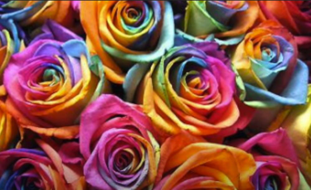 Nestvarno lepi cvetovi delo su holandskog cvećara