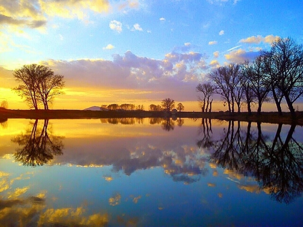 Novac Ribama i Vagi popravlja raspoloženje!