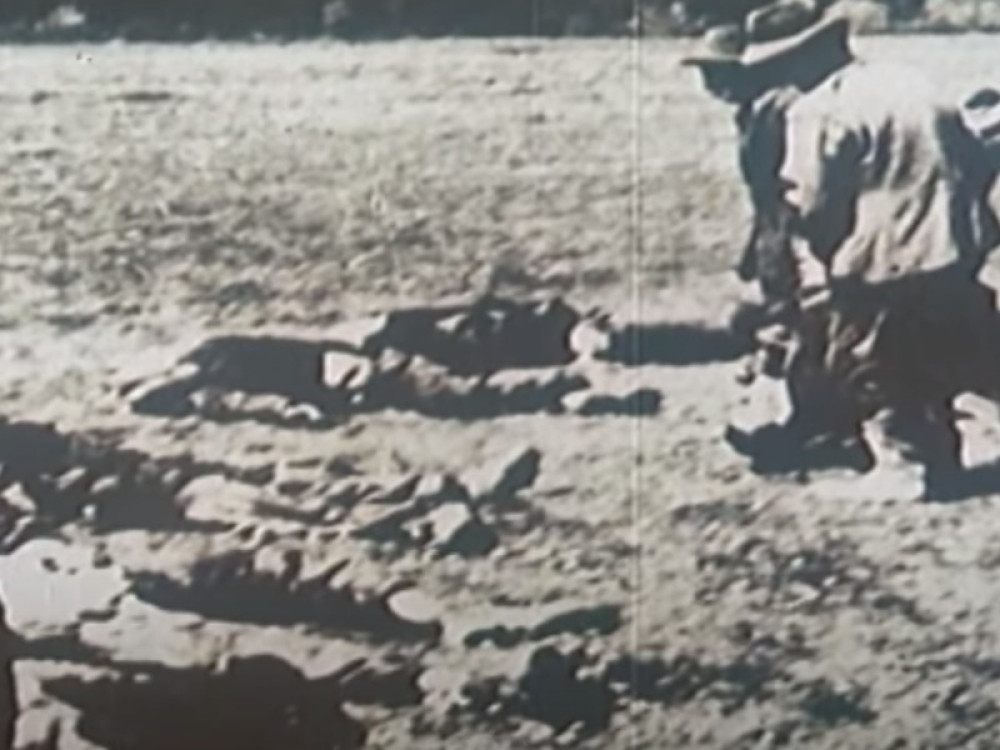 Domaći film o stradanju srpske dece u Jasenovcu je u trci za Zlatni globus!