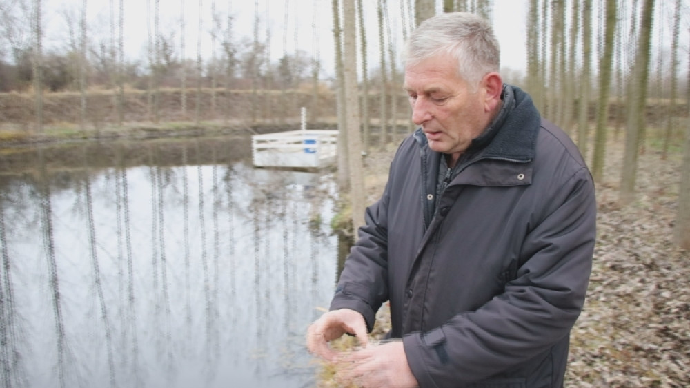 Čudo sa neba palo na imanje Klajića kod Čačka: Nakon 12 godina kad je Dragan ponovo otvorio kesu ugledao potpuno oksidirano kamenje koje svetluca (FOTO/VIDEO)