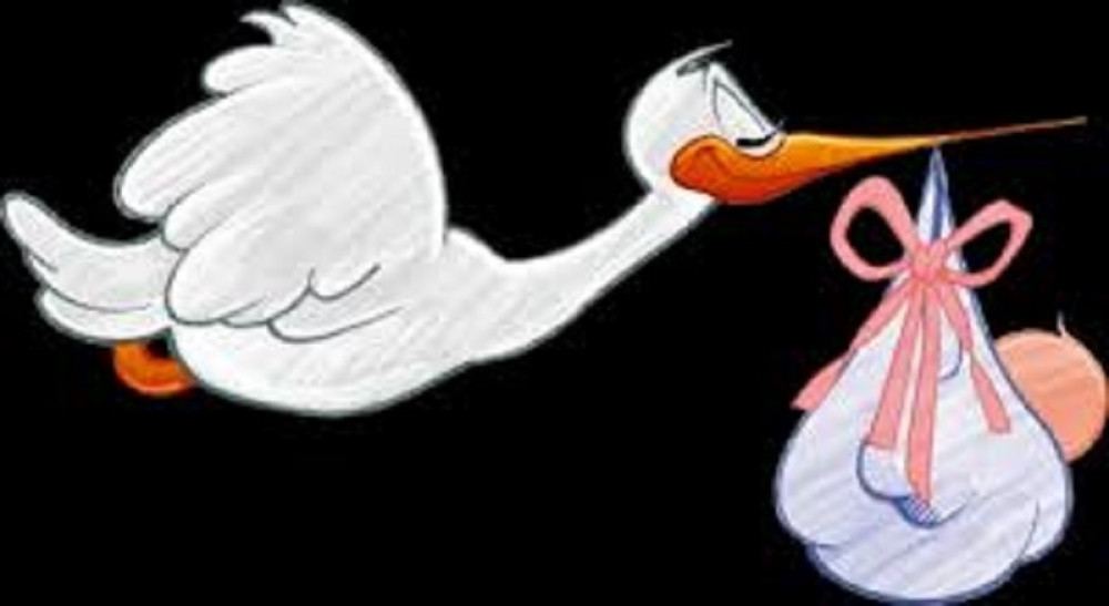 Rode stižu na čak deset poznatih adresa, a sve to u jeku pandemije (FOTO/VIDEO)