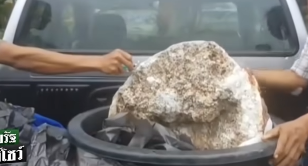 Ovaj čovek će biti bogatiji za 2,6 miliona dolara, a još je čudnije od čega je i za šta se koristi