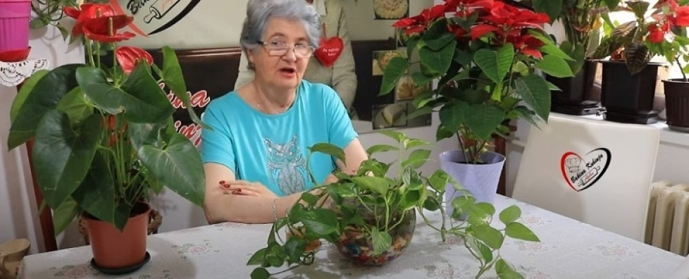 Da nam namirnice koje kupimo uvek budu sveže i zdrave, moramo da uradimo ove stvari (VIDEO)