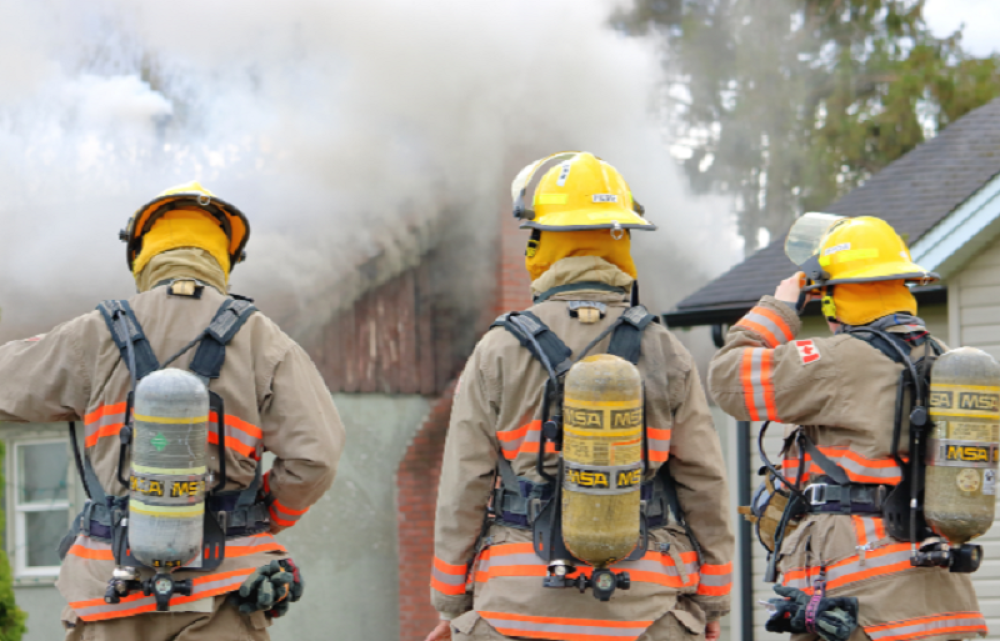Ideja o vatrogascima kao ljudima kojima će posao biti sprečavanje vatrene stihije vuče korene od davnina