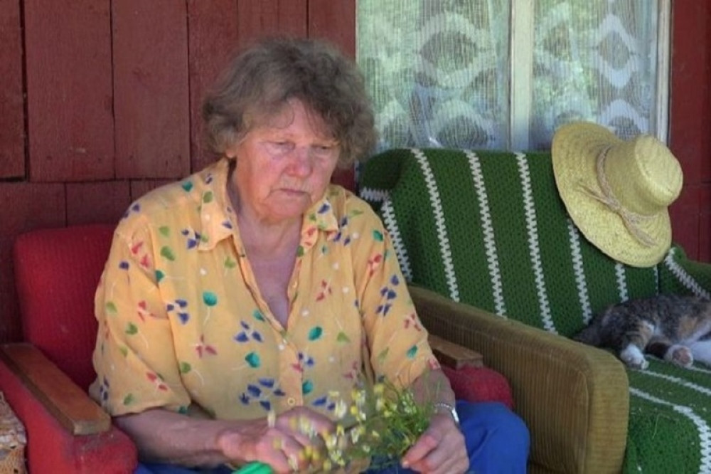 Ovaj korov je dar od Boga: Sprečava grip, leči bubrege, jetru