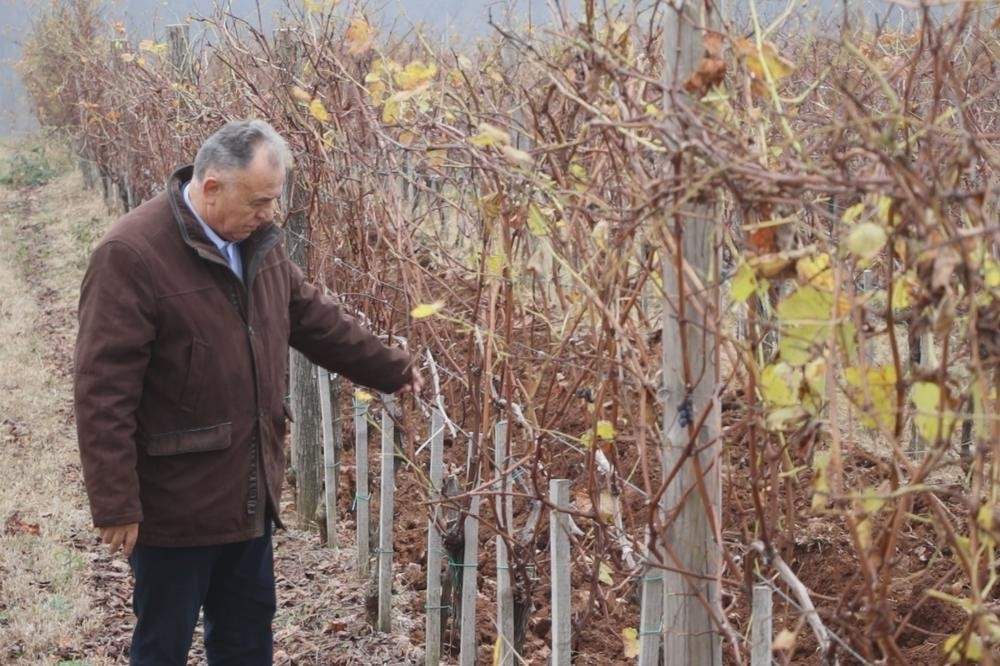 Profesor iz Kanade došao u Srbiju i započeo posao o kome se priča