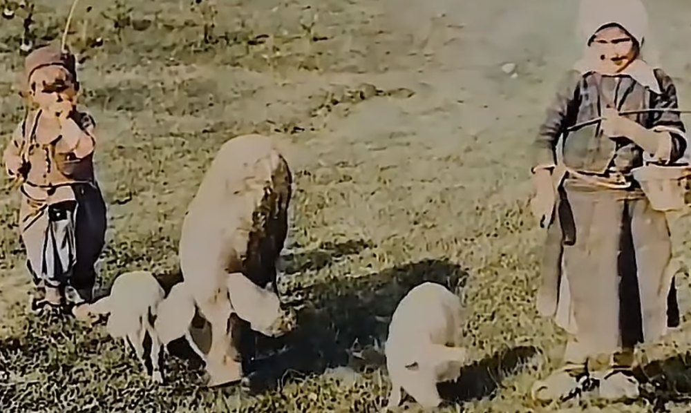 Snimak mališana od pre 120 godina će vam naterati suze na oči (VIDEO)