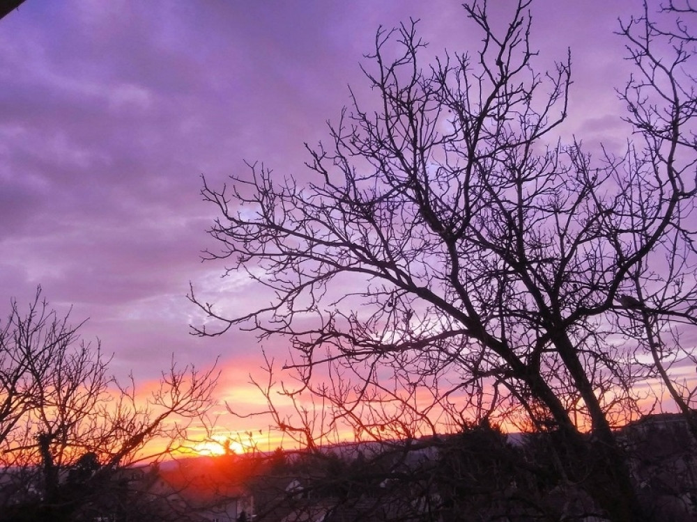 Vaga i Bik na pragu poslovnog uspeha, Jarac uživa u ljubavi (VIDEO)