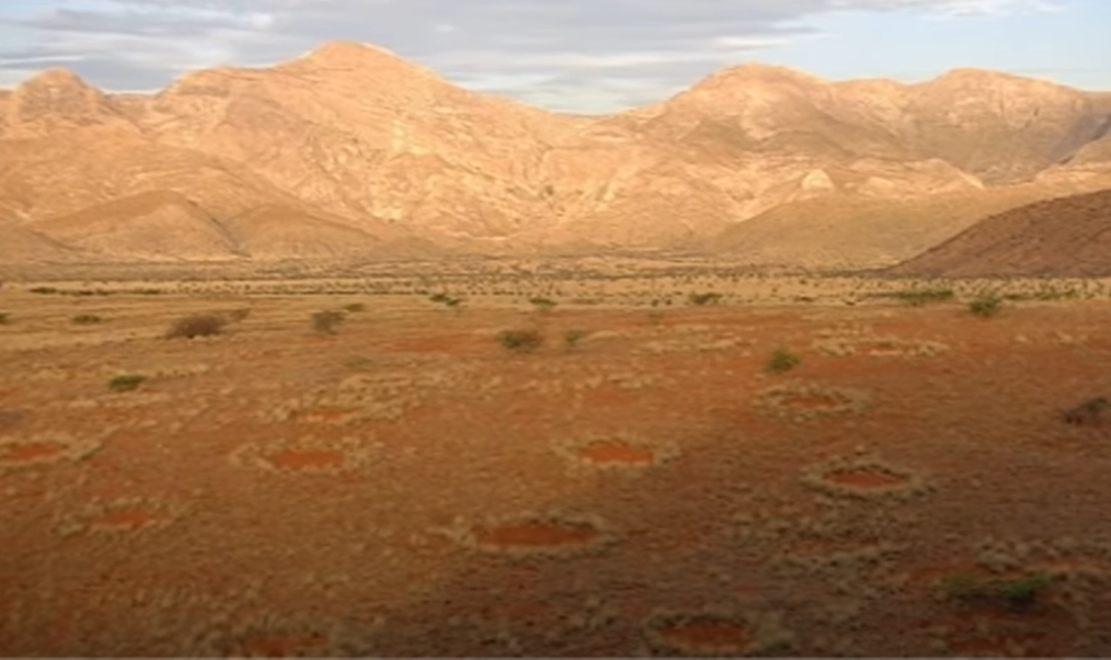 Naučnici konačno mogu da objasne "čarobne krugove" Namibije