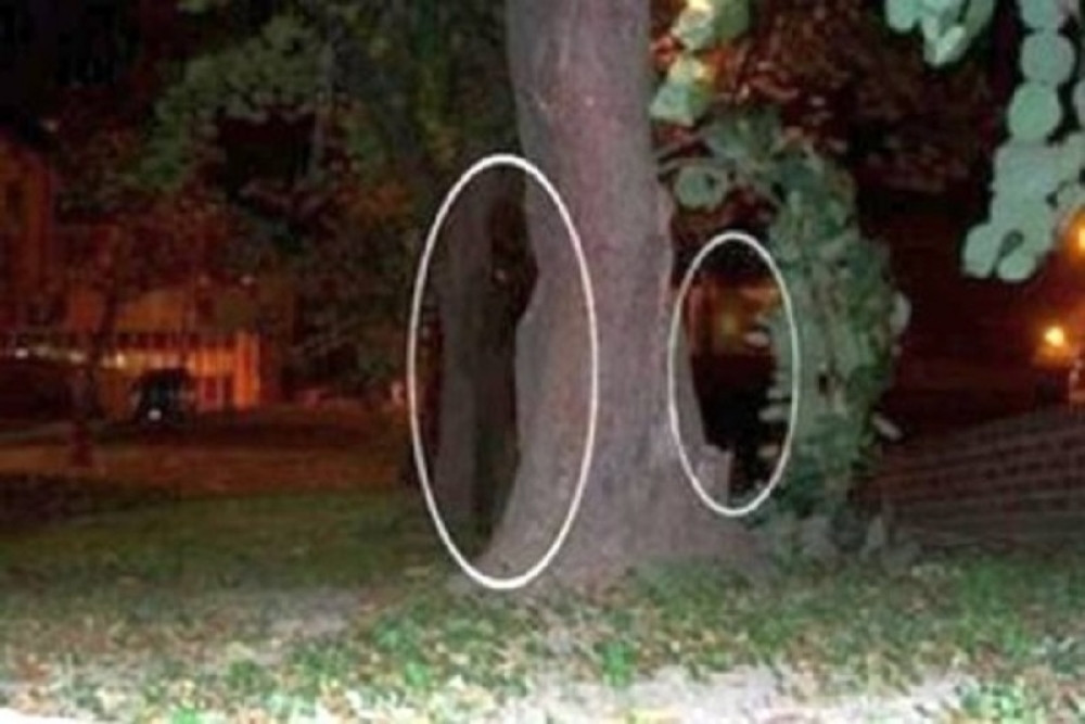 Misteriozni "Ljudi senke" sve ćešće se pojavljuju! (VIDEO)