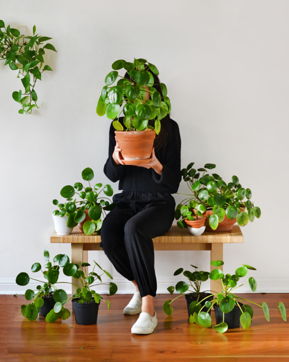 Imućni ljudi u svom domu drže samo ovu biljku!