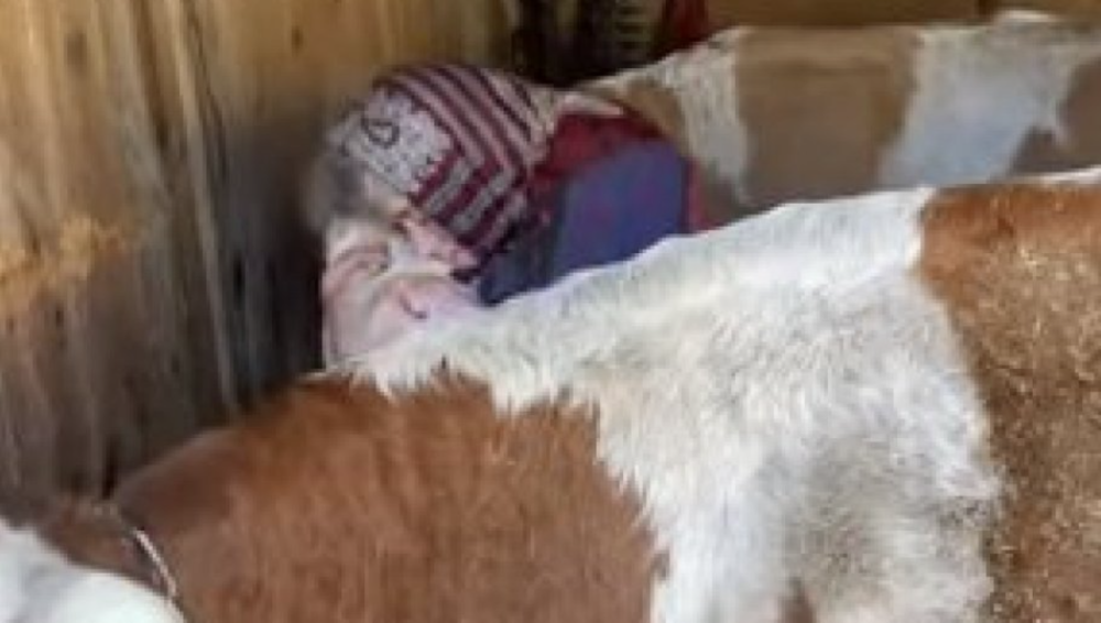 Pogledajte zašto ljudi sa Banije ne idu u privremeni smeštaj, već spavaju u dvorištu (VIDEO)