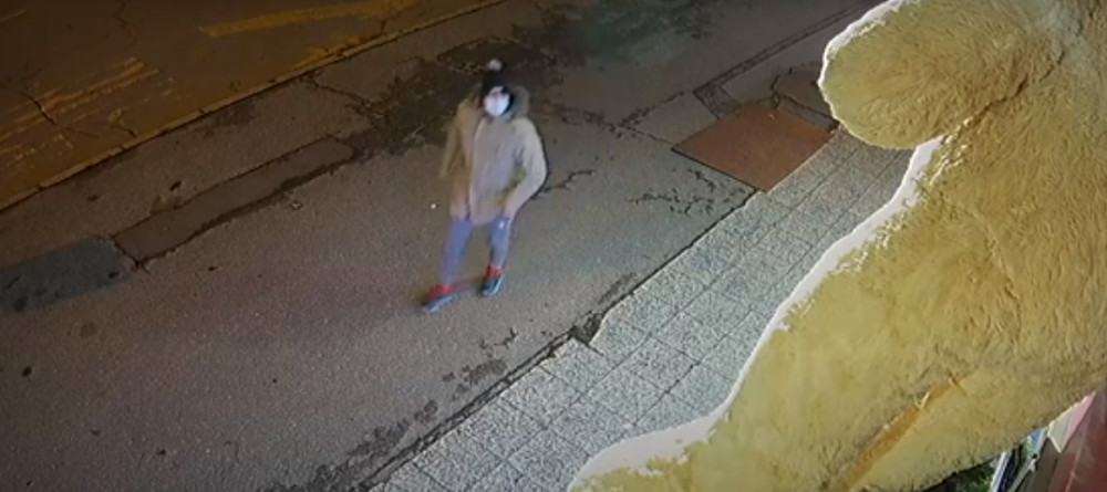 Prolaznici pokrali humanitarnu dekoraciju, kamere SVE snimile (VIDEO)