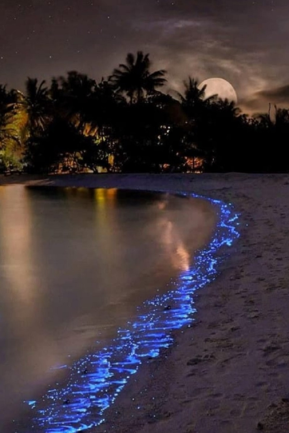 Kada ništa ne radite najviše kalorija sagorite u ovo doba dana