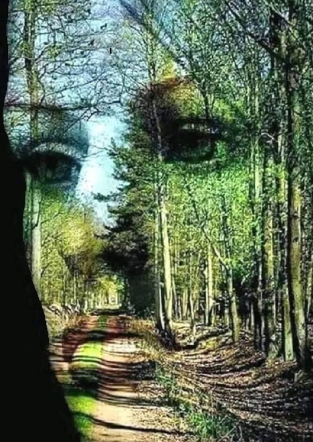 Ribe i Jarčevi kreću u osvajački pohod, Strelčeve muče finansije