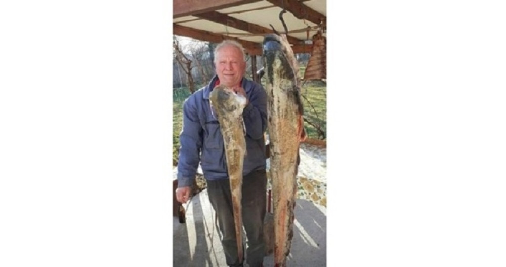 Milisav je danima čekao da mu nešto naiđe, posle ostao u šoku