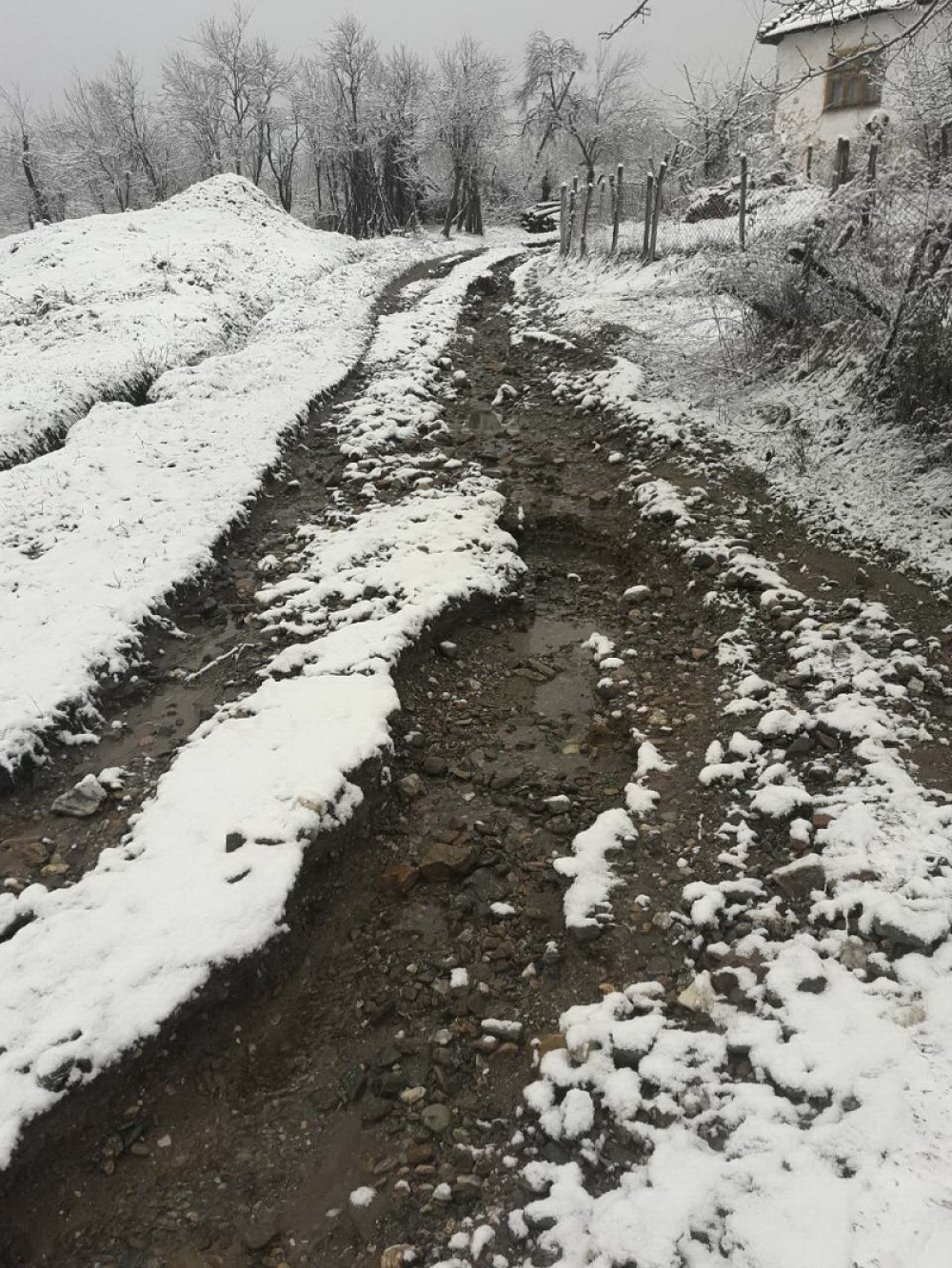 Sekirom napao prijatelja pre sečenja badnjaka!