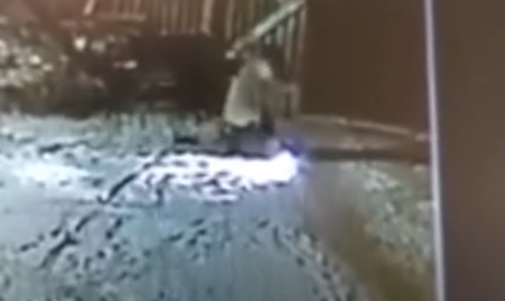 Kamere snimile okršaj seljaka i divlje zveri (VIDEO)