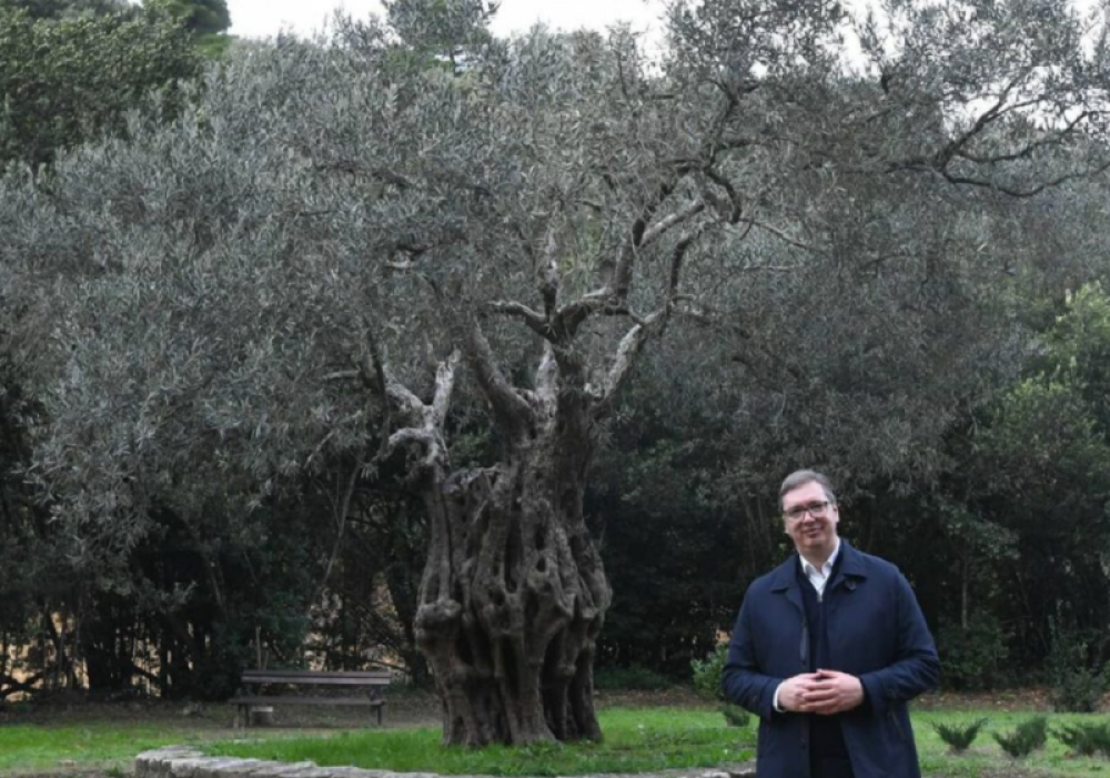 Predsednik Vučić iz Hilandara poslao snažnu poruku svim građanima (FOTO)
