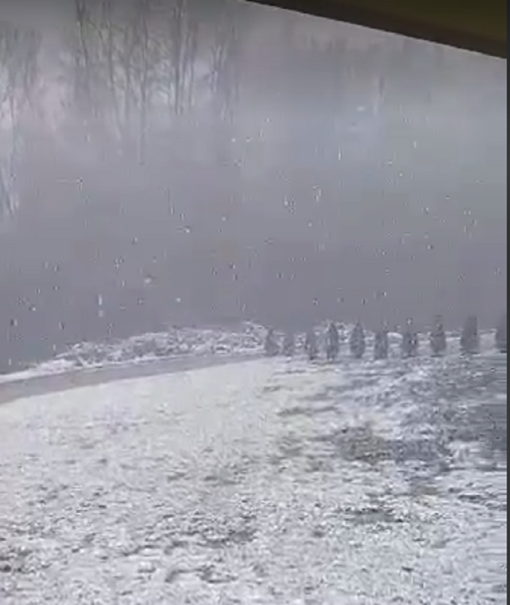 Krupne pahulje snega obojile u belo Kosjerić (VIDEO)