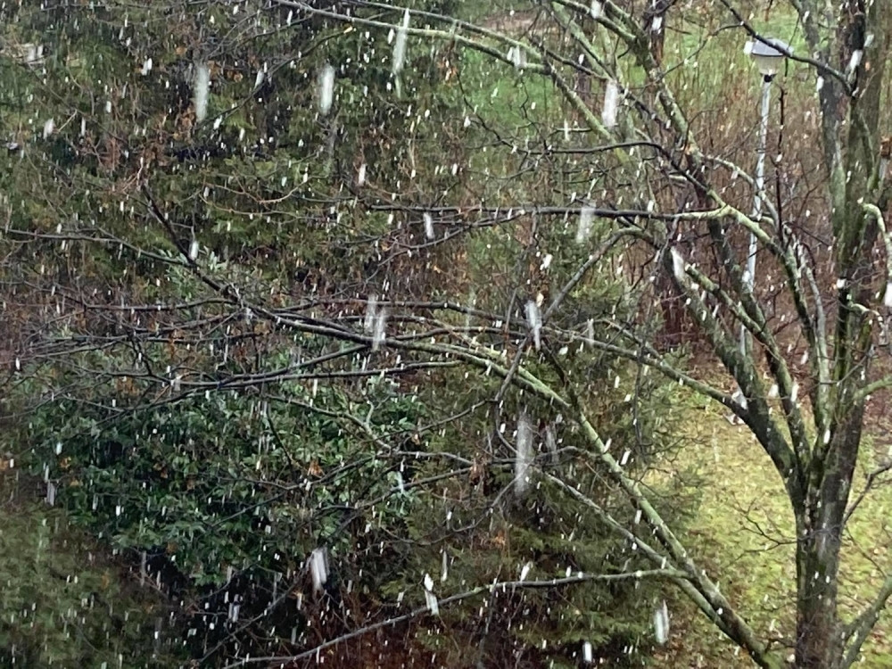 U Beogradu počeo da pada sneg (FOTO/VIDEO)