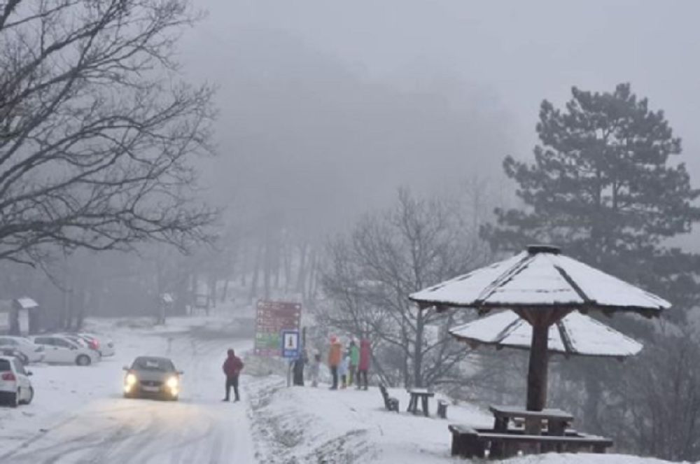 Više vozila sletelo sa puta (FOTO)