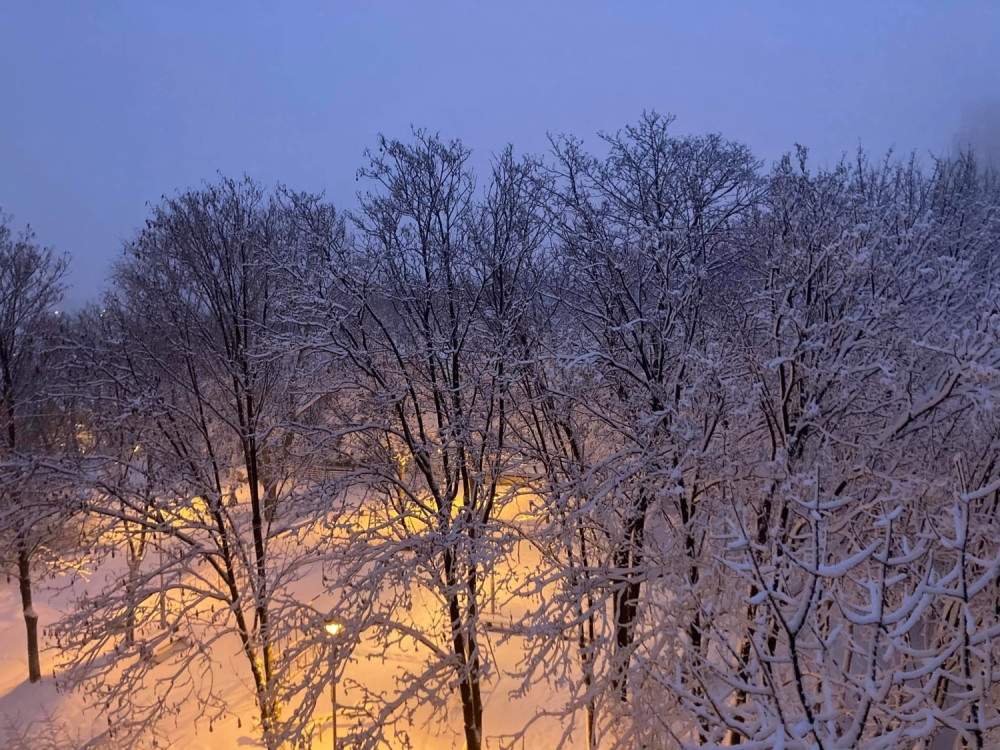 I danas zimska idila, temperatura ide do sledećeg stepena