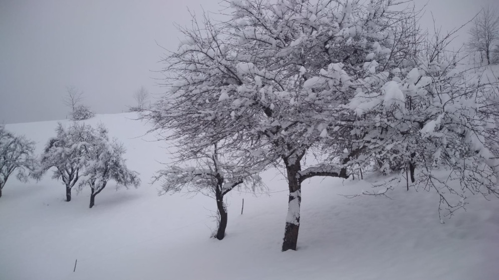 Sibirska vazdušna struja prelazi preko Evrope i donosi nezapamćenu hladnoću!