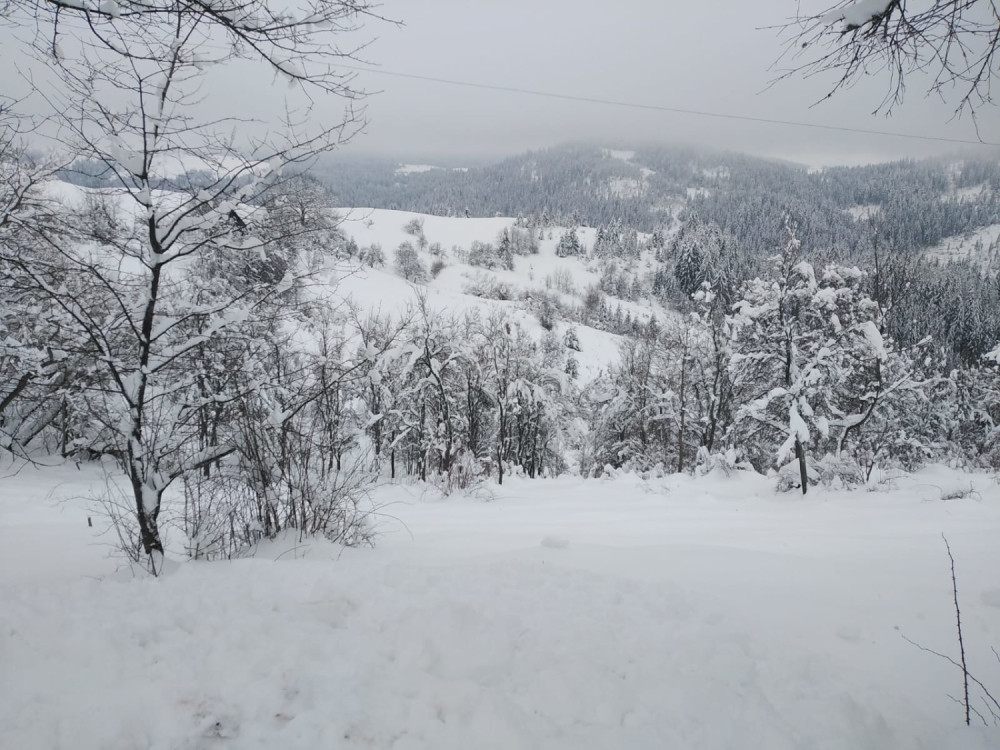 Bez struje ostalo nekoliko sela u Dragačevu (FOTO/VIDEO)