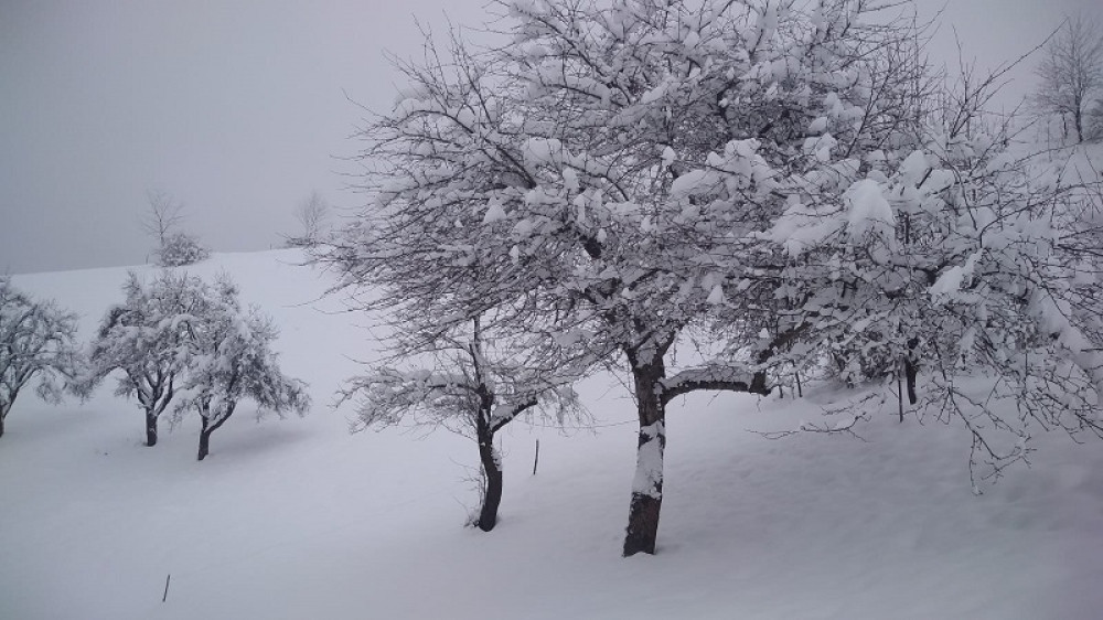 U Japanu je troje ljudi poginulo u snežnoj oluji, stotine su povređene!