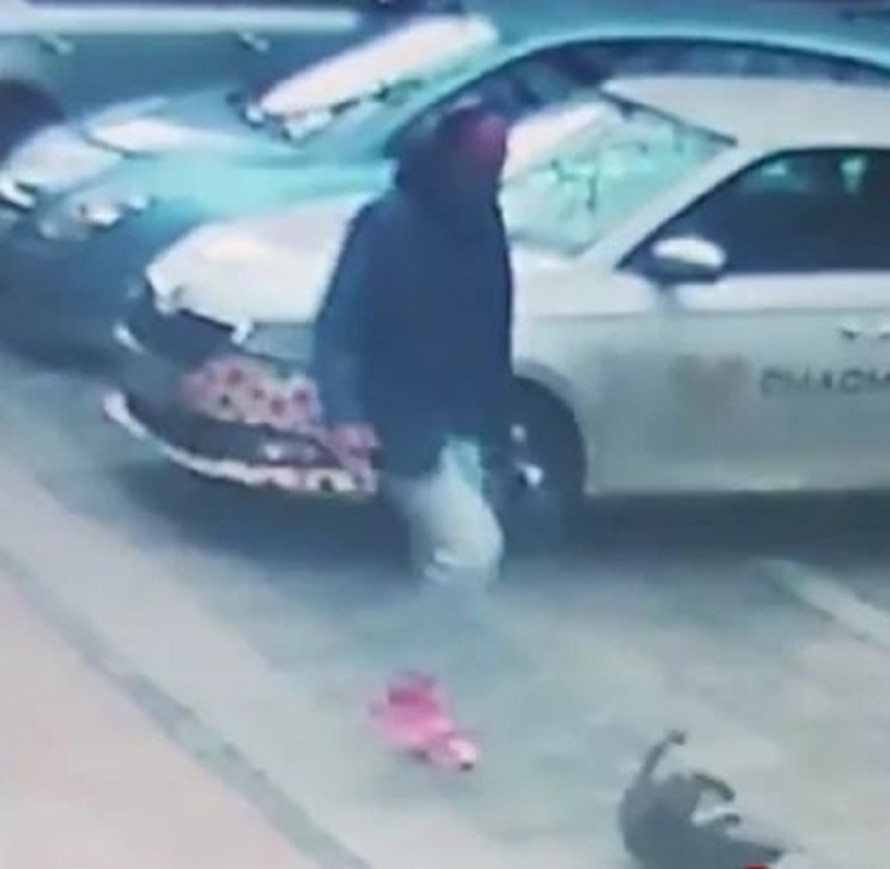 Mala Božana, štene koje je krvnički šutnuo nasilnik u Deligradskoj, sada ima novi dom! (FOTO)