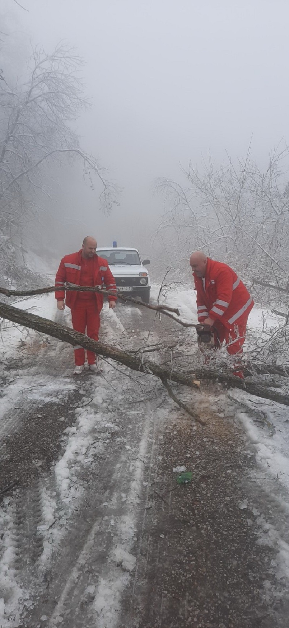 Automobilska nesreća u Mrčajevcima
