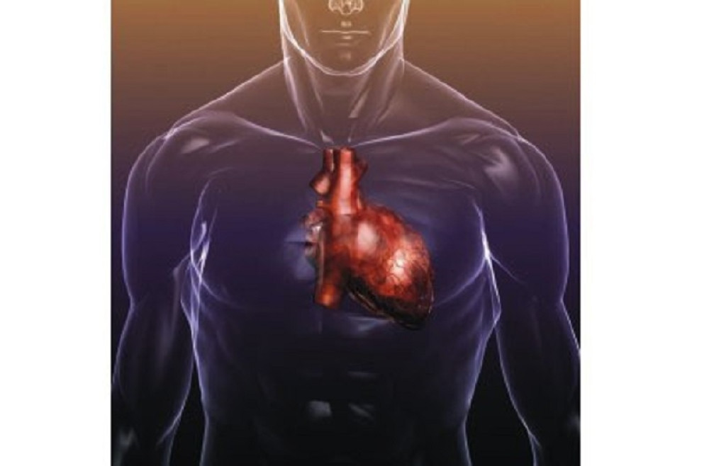 Veštačko srce uskoro na prodaju