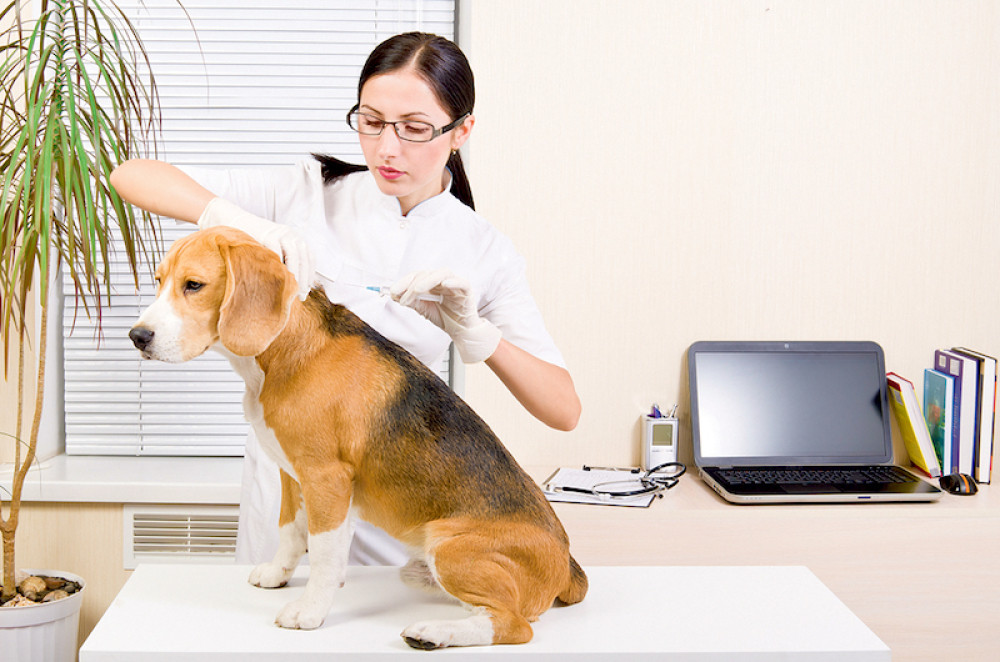 Jedinstveni kod za svaku kucu