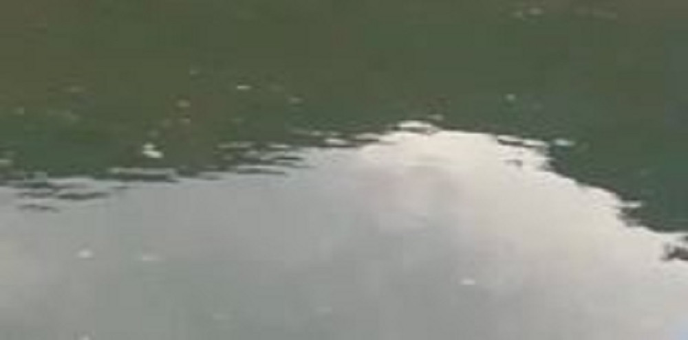 Pogledajte kako su migranti iz hladne reke izvukli ženu i spasili je od sigurne smrti (VIDEO)