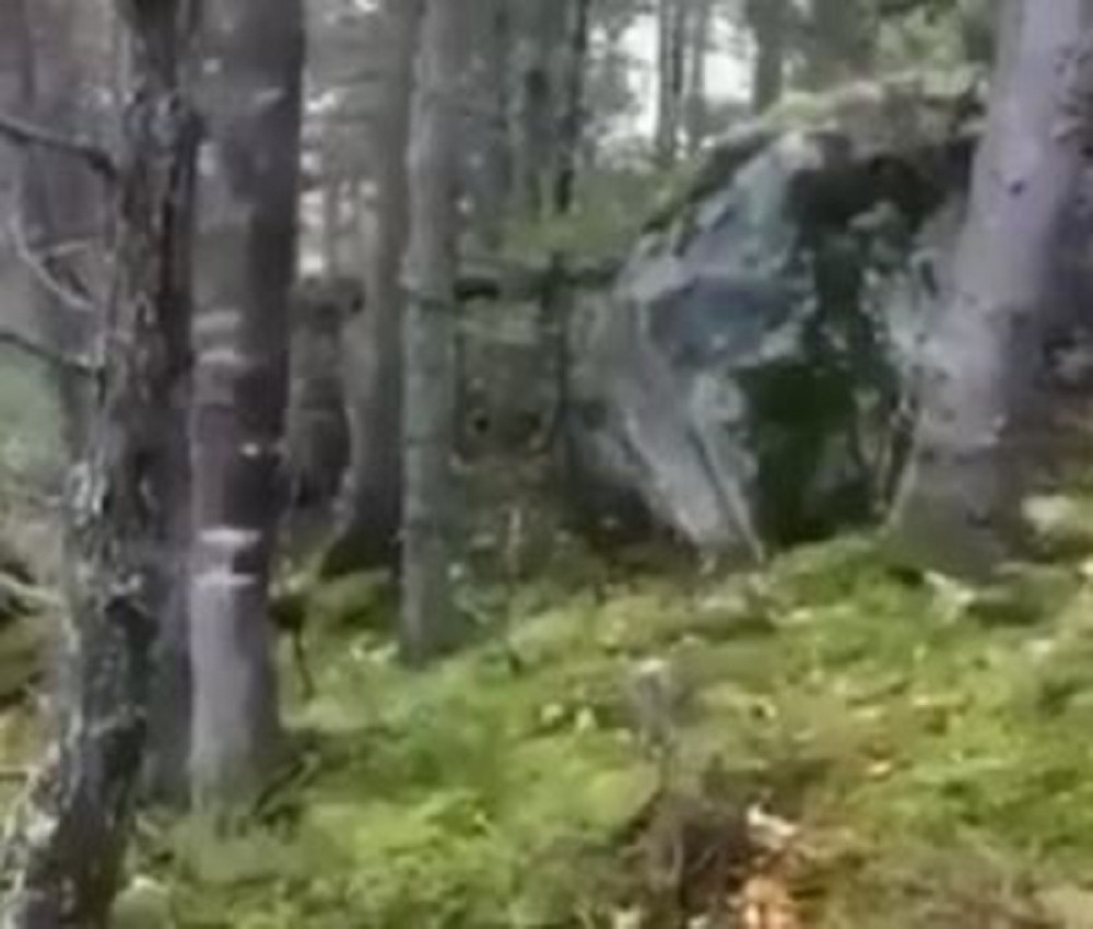 Stravičan snimak zemljotresa kod Gline, zemlja se digla, drveće poletelo (VIDEO)