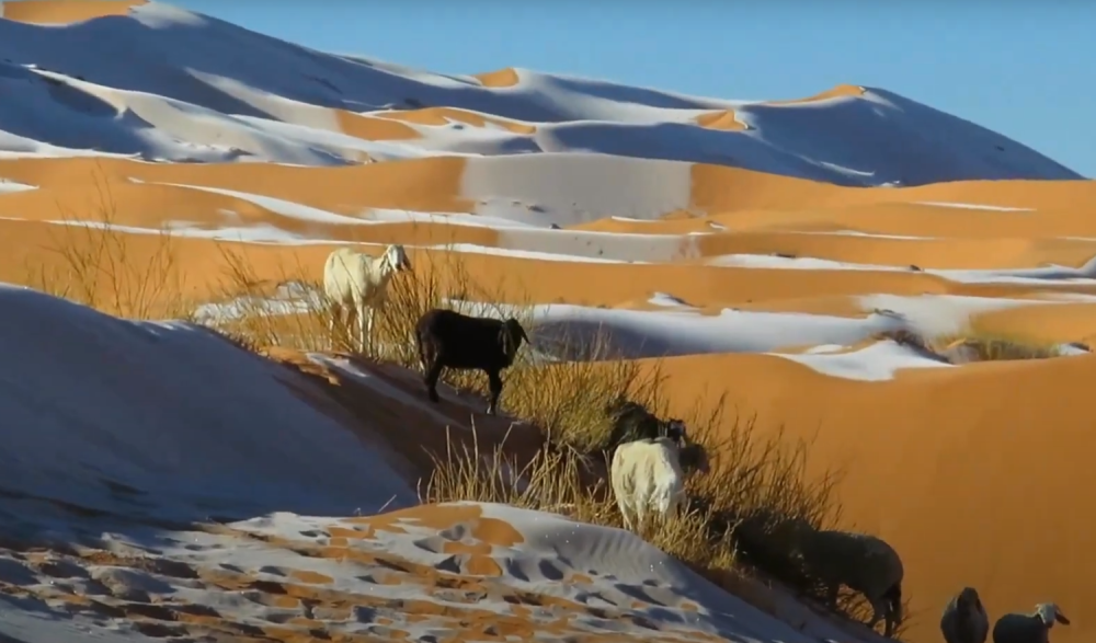 Pao je sneg u Sahari, u Saudijskoj Arabiji temperatura otišla u MINUS (VIDEO)