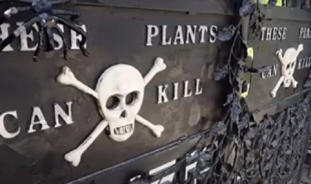 Biljke u njemu mogu vas ubiti (FOTO/VIDEO)