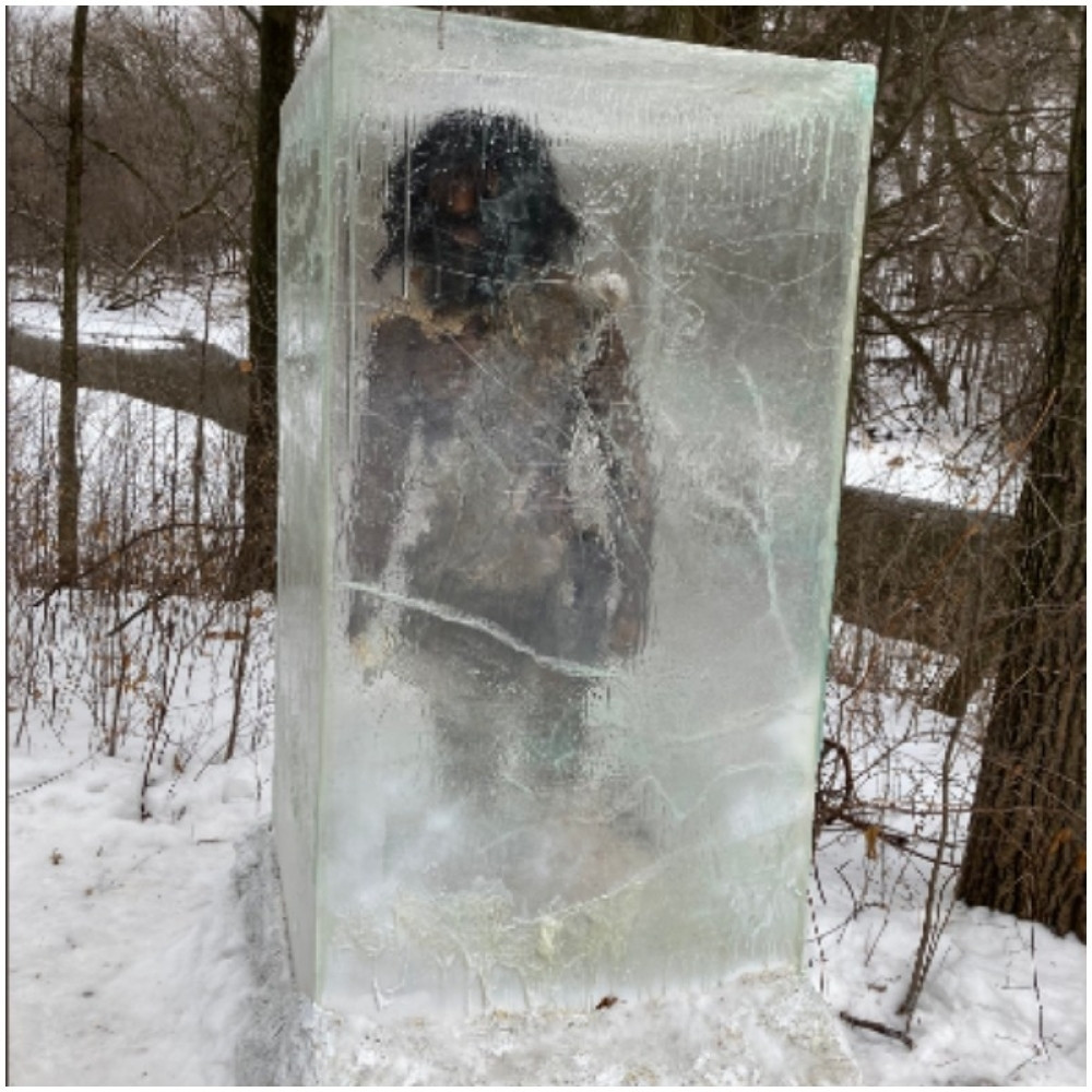 Beživotno telo čoveka u komadu leda nasred parka zgrozilo javnost, evo o čemu se radi! (FOTO)